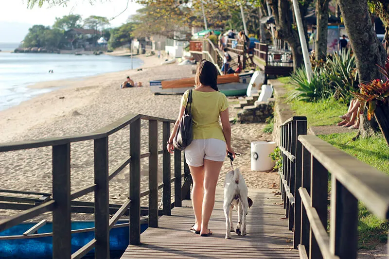 Así viajaremos este año - caminata a la playa con perrito